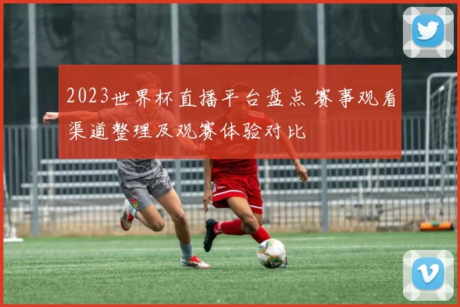 2023世界杯直播平台盘点 赛事观看渠道整理及观赛体验对比